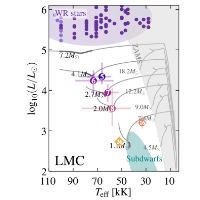 Stellar Properties of Observed Stars Stripped in Binaries in the Magellanic Clouds
